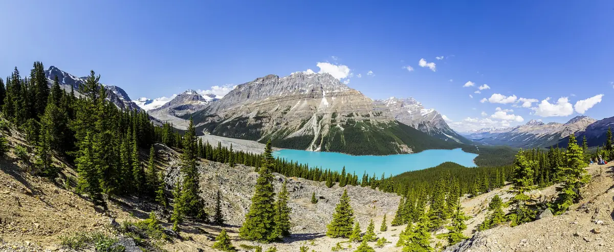 Peyto Lake from the viewpoint